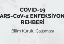COVID-19 (SARS-CoV-2 ENFEKSİYONU) REHBERİ (Bilim Kurulu Çalışması) | 14 Nisan 2020