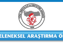 11. Geleneksel Araştırma Ödülü | 2020